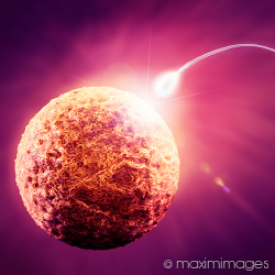 Stock photo collection: Conceptual and 3D Illustrations