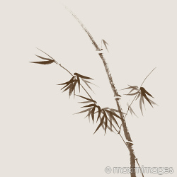 Stock photo collection: Sumi-e Oriental Zen Paintings, Illustrations and designs