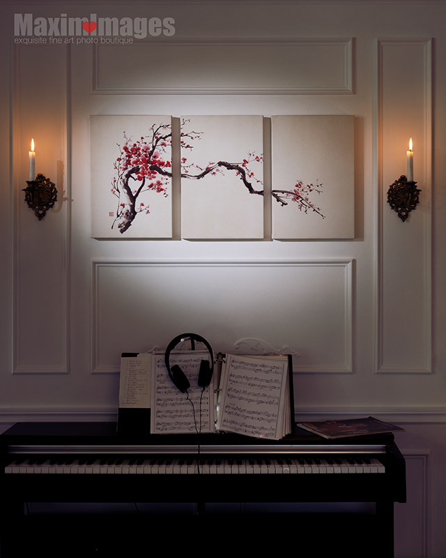 fine art canvas photo print